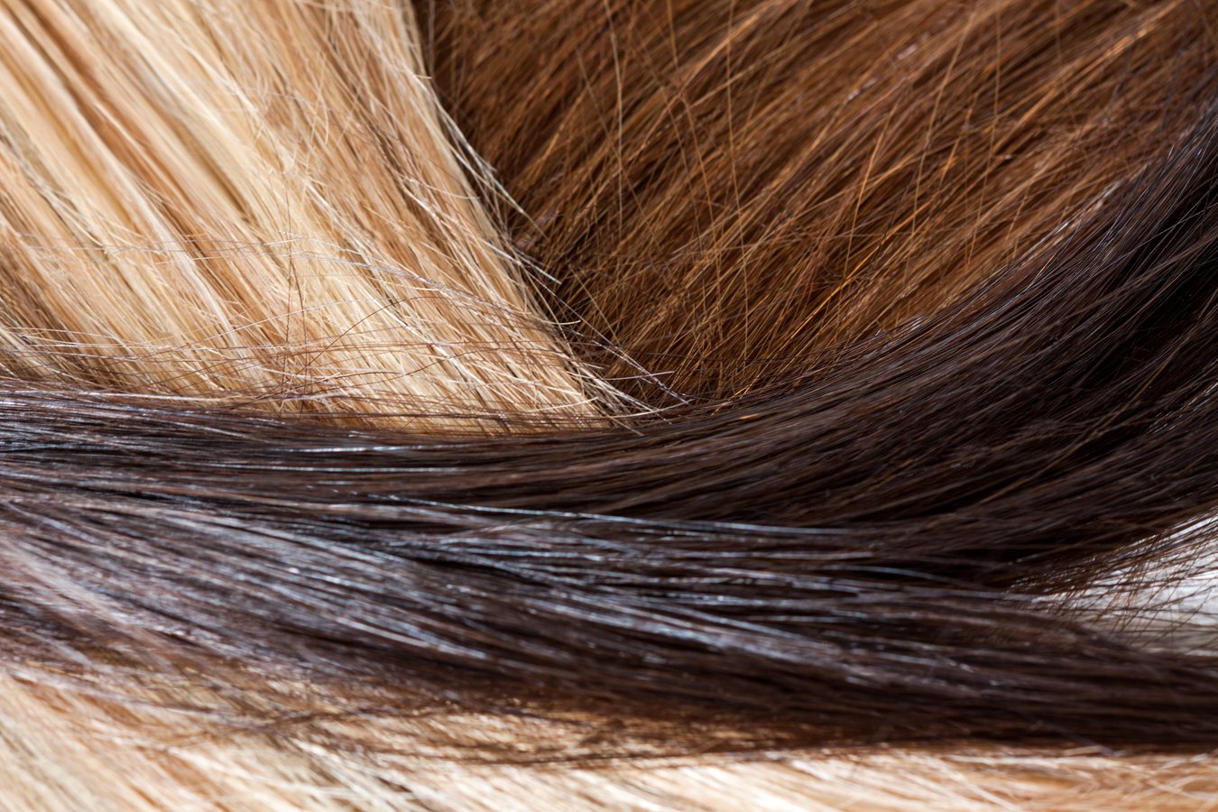 Herbstliche Haarfarben setzen auf warme, pflegeleichte Töne