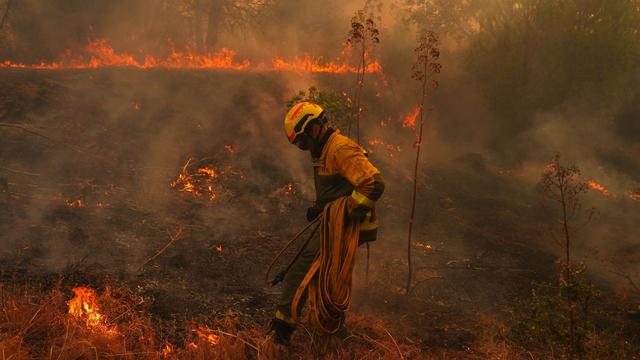 Rekordbrände in Frankreich und Spanien: Hitze und dichtes Unterholz als Brandbeschleuniger