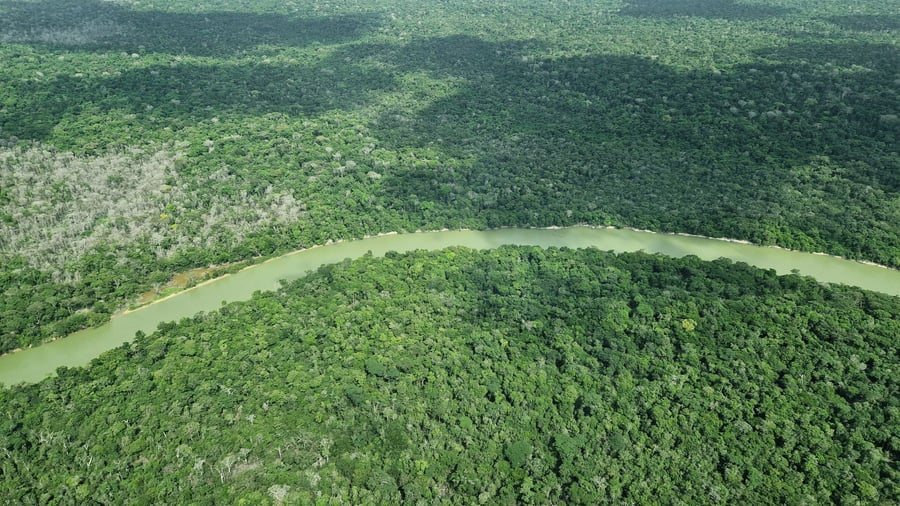 Amazonas: So wenige Waldbrände wie seit 40 Jahren nicht