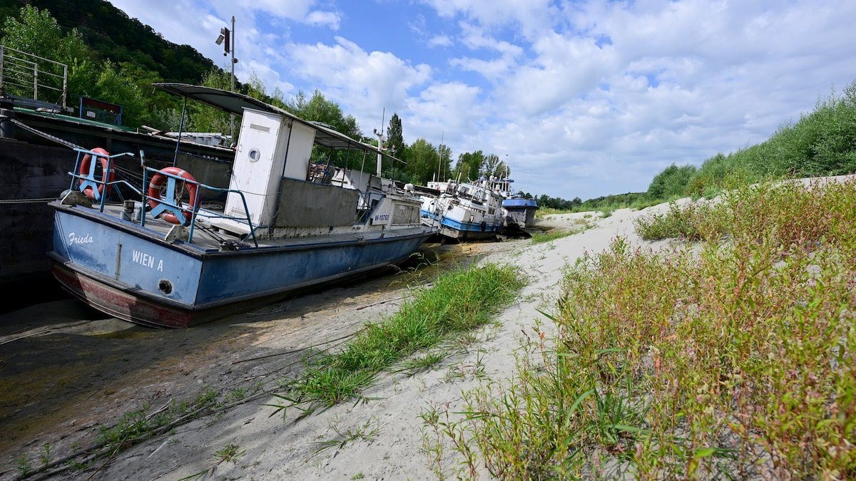 Donau-Niedrigwasser: Kreuzfahrtschiffe stecken fest, Atomkraftwerke fahren herunter